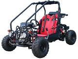 Tao Motor GK110 Go-Kart | 110cc Youth Off-Road Buggy with Reverse mississippipowersports