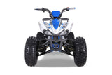 Tao Motor Cheetah Platinum 125cc ATV | Mid-Size Sport ATV for Youth mississippipowersports