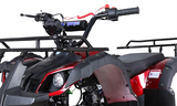 Tao Motor TF125 – 110cc Family-Size ATV with Reverse, Speed Limiter & Electric Start mississippipowersports