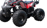 Tao Motor TF125 – 110cc Family-Size ATV with Reverse, Speed Limiter & Electric Start mississippipowersports