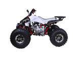 125CC SPORTY STYLE ATV WITH ALLOY RIMS mississippipowersports